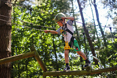 Exploration des hauteurs à Forêt Adrénaline